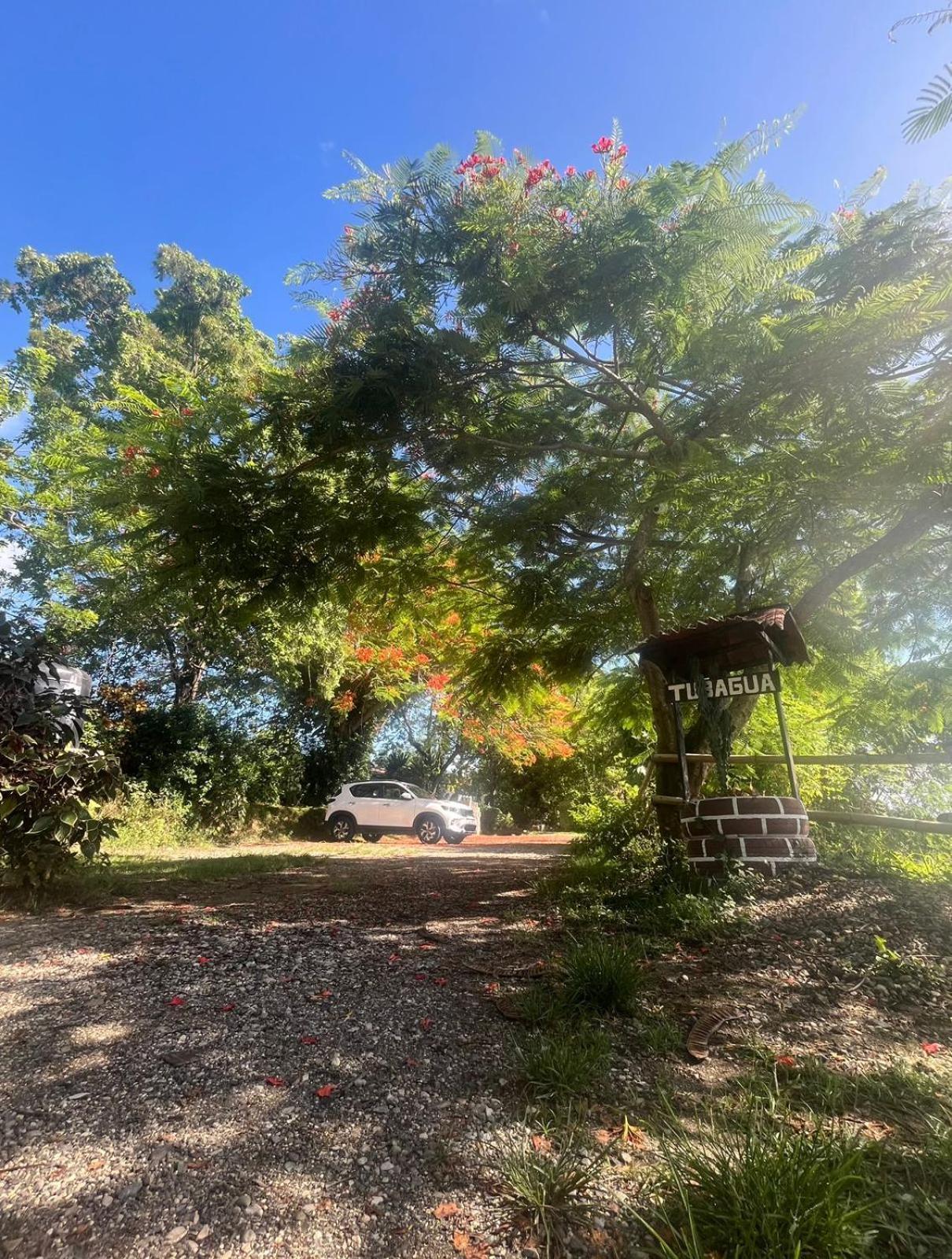 Ecolodge Tubagua Puerto Plata Exterior photo